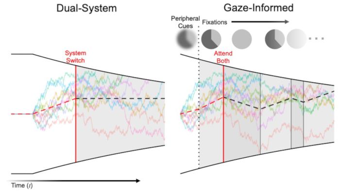 Dual-system vs gaze-informed